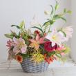 【生花】丁子草  アキアカネ　70cm　山形県西部営農