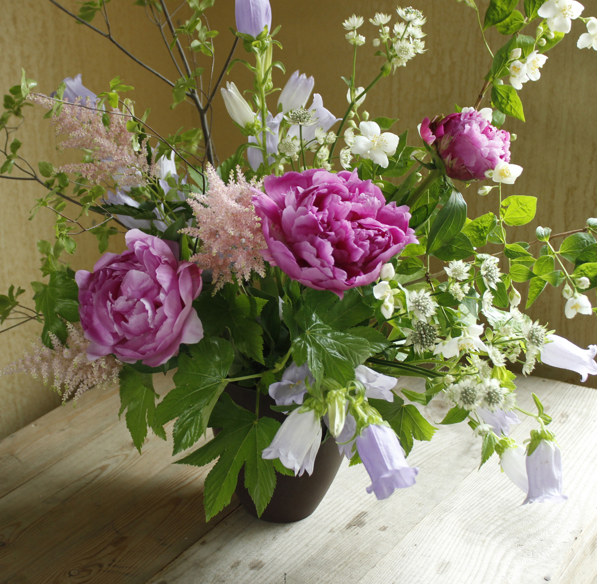 直前 カンパニュラ チャイムスカイブルー薄紫 小輪系 70cm程度 生花 通販 はなどんやアソシエ 直前 カンパニュラ チャイムスカイブルー薄紫 小輪系 70cm程度 生花 通販 はなどんやアソシエ