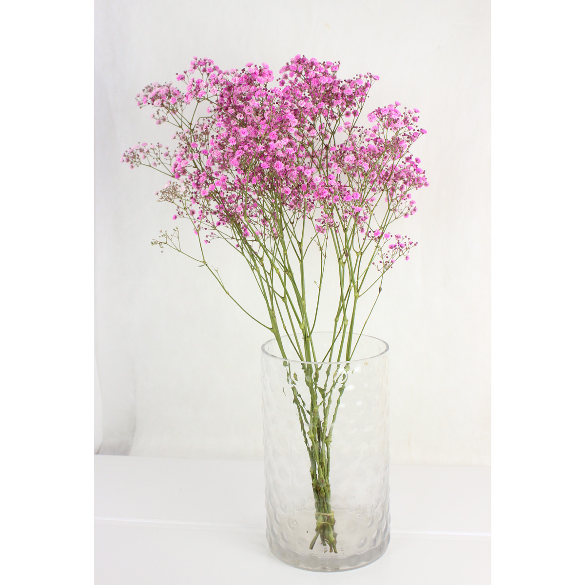 生花 Fj カスミ草 ピンク染め 輸入 60cm 早締切 71 通販 はなどんやアソシエ 生花 Fj カスミ草 ピンク染め 輸入 60cm 早締切 71 通販 はなどんやアソシエ