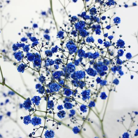 かすみ 分水孔コック ニップルつき 788-805 | 水栓用品 通販 | ホームセンター