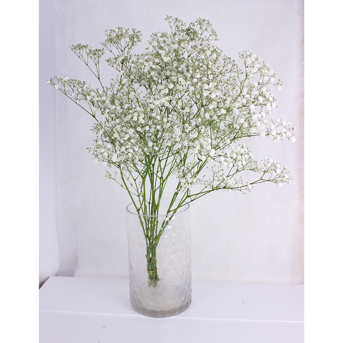 生花 カスミ草 エクセレンス 白 輸入60cm 50本単位 Fj 通販 はなどんやアソシエ 生花 カスミ草 エクセレンス 白 輸入60cm 50本単位 Fj 通販 はなどんやアソシエ