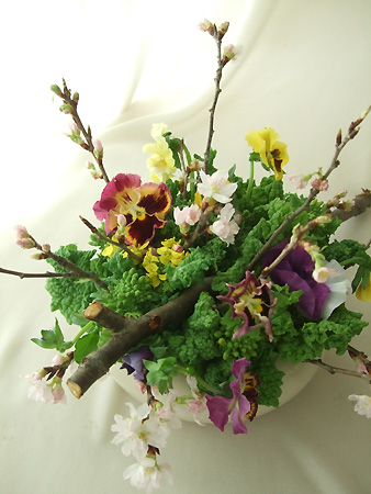 生花】切花パンジーフリルMIX【FJ】25cm〜 - 花材通販はなどんや