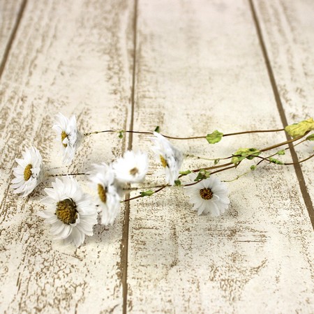 ドライ】J・flow/ローダンセ マキュラータホワイト::【L1-10】 - 花材