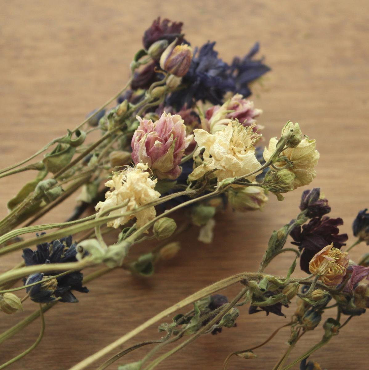 ドライ】J・flow/オダマキ バローミックス(束約10本)※特に繊細