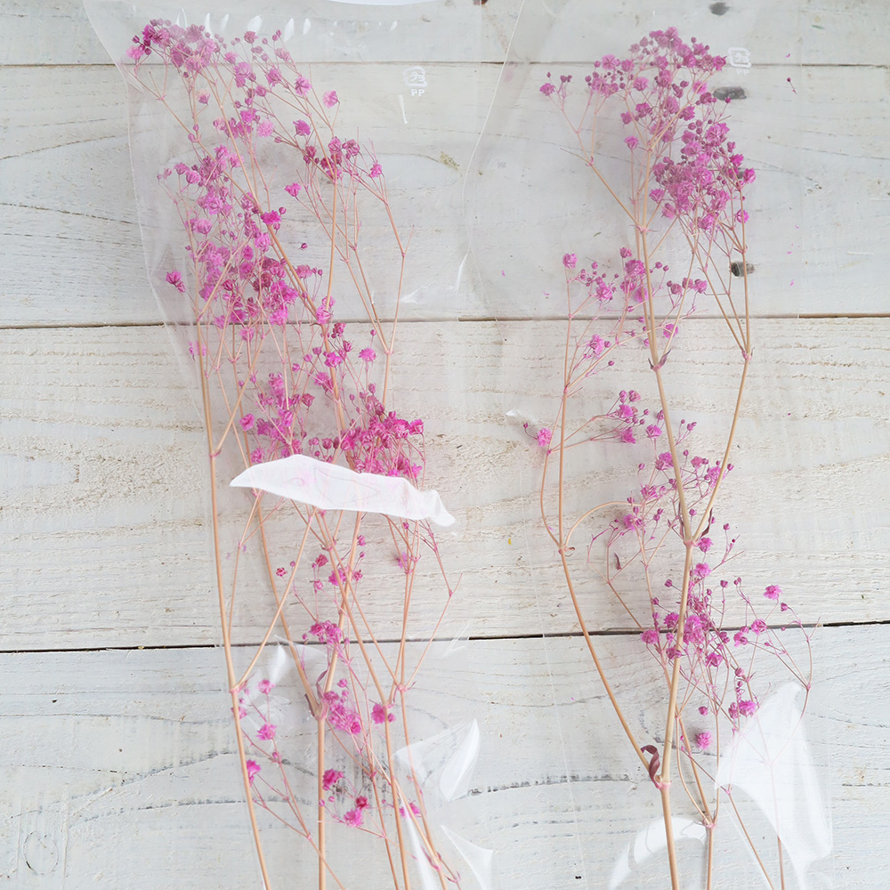 即日 ドライ J Flow 染めカスミ草 初恋 ピンク 通販 はなどんやアソシエ 即日 ドライ J Flow 染めカスミ草 初恋 ピンク 通販 はなどんやアソシエ