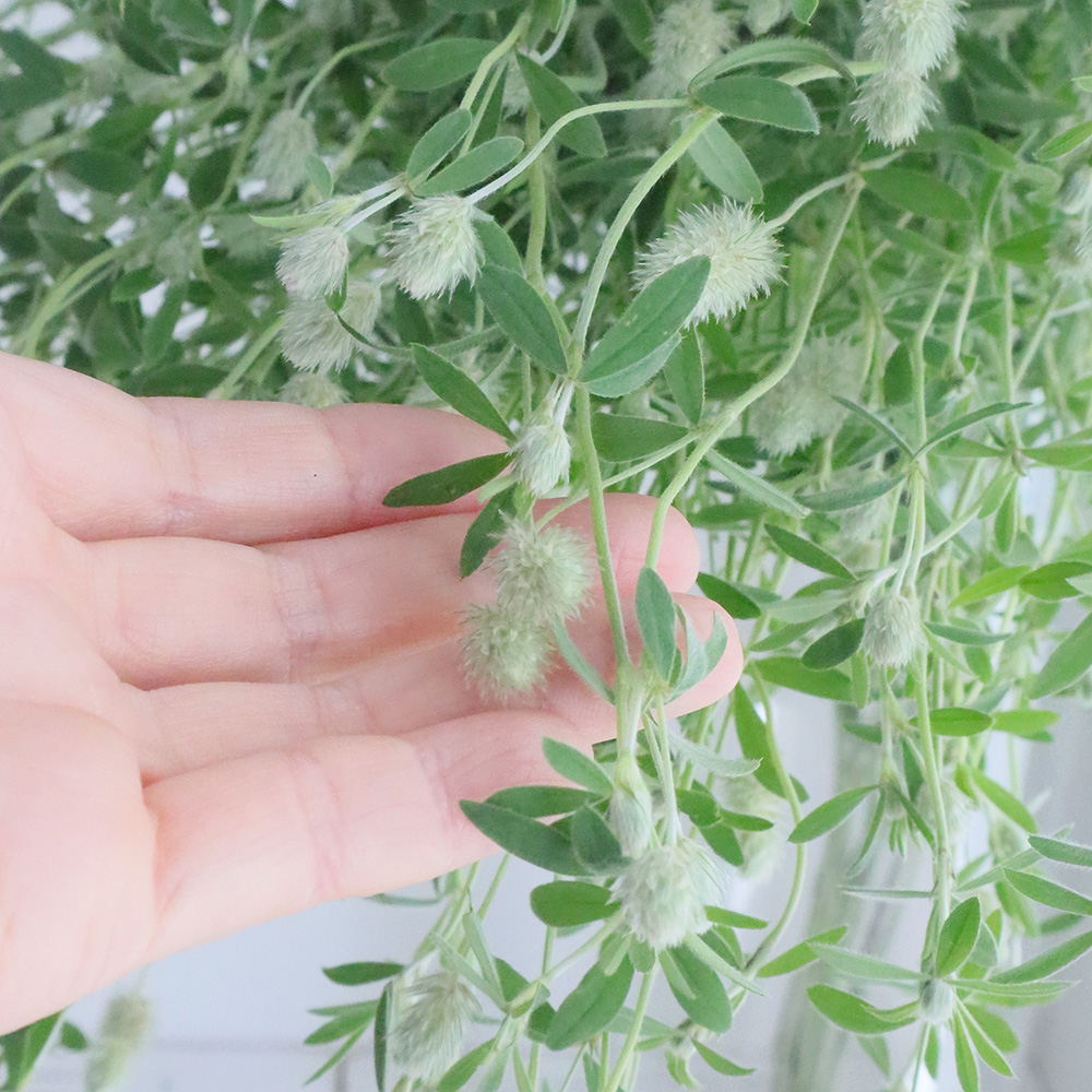 生花 大分県オリジナル小花 花うさぎ 70cm程度 必ず商品説明をお読み 生花 大分県オリジナル小花 花うさぎ 70cm程度 必ず商品説明をお読み