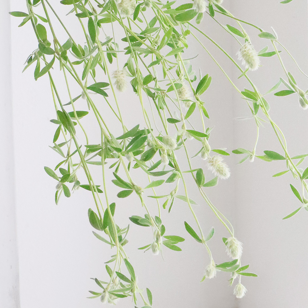 生花 大分県オリジナル小花 花うさぎ 70cm程度 必ず商品説明をお読み 生花 大分県オリジナル小花 花うさぎ 70cm程度 必ず商品説明をお読み