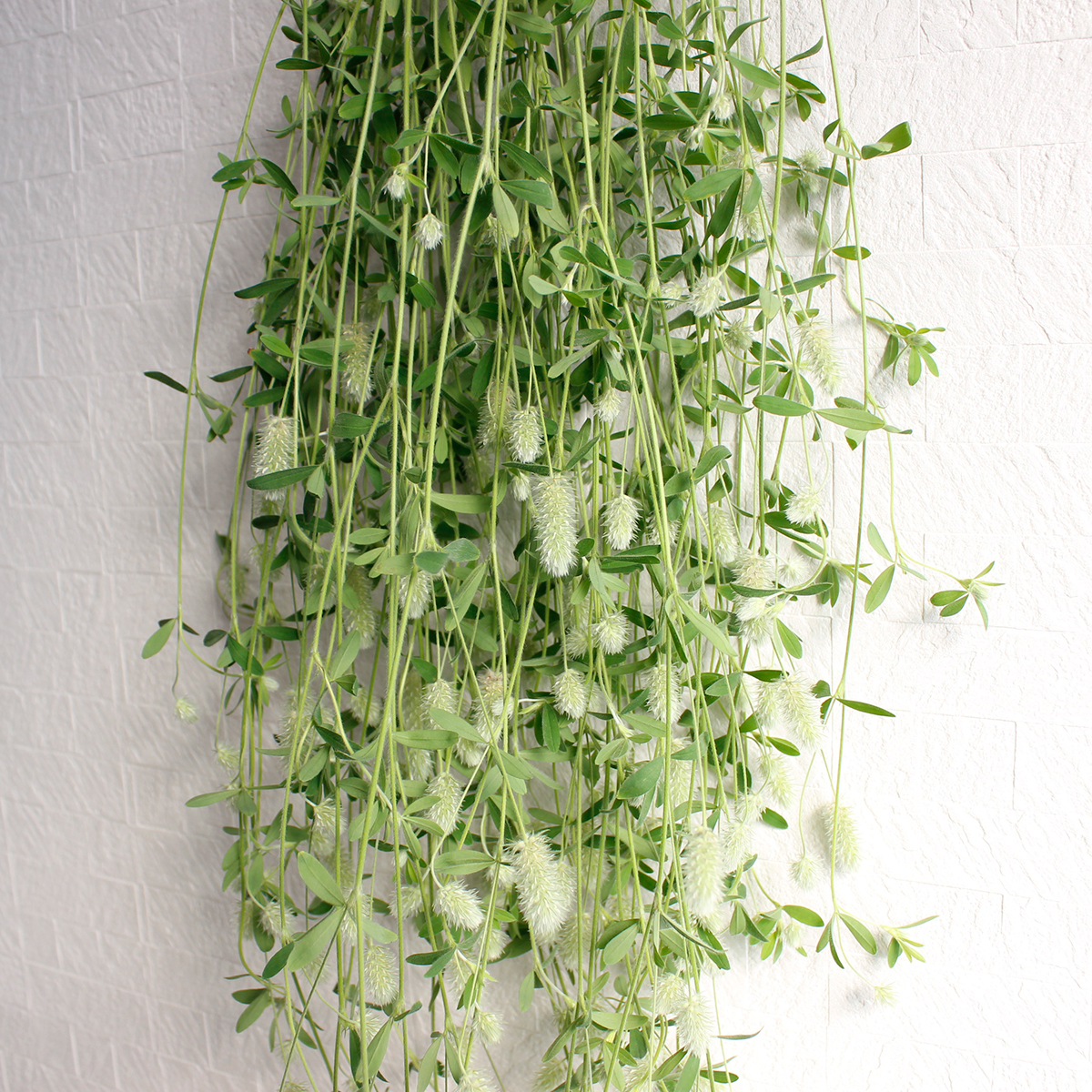 生花 大分県オリジナル小花 花うさぎ 70cm程度 必ず商品説明をお読み下さい 早締切 74 通販 はなどんやアソシエ 生花 大分県オリジナル小花 花うさぎ 70cm程度 必ず商品説明をお読み下さい 早締切 74 通販 はなどんやアソシエ