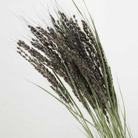 乾燥稲 アレンジメント用 20本✕30束 乾燥稲 アレンジメント用 20本✕30束 乾燥稲 アレンジメント用 20本✕