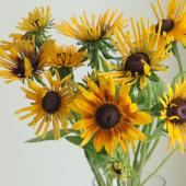 【08直前】【生花】ルドベキア　チムチムニー（細弁）黄、橙、茶色など　40ｃｍ青木園芸【OT】