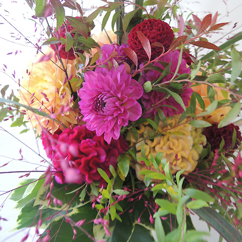 生花】ダリア ピンキー(濃いピンク中小輪系)長野県沓掛さん(火)(木)(土