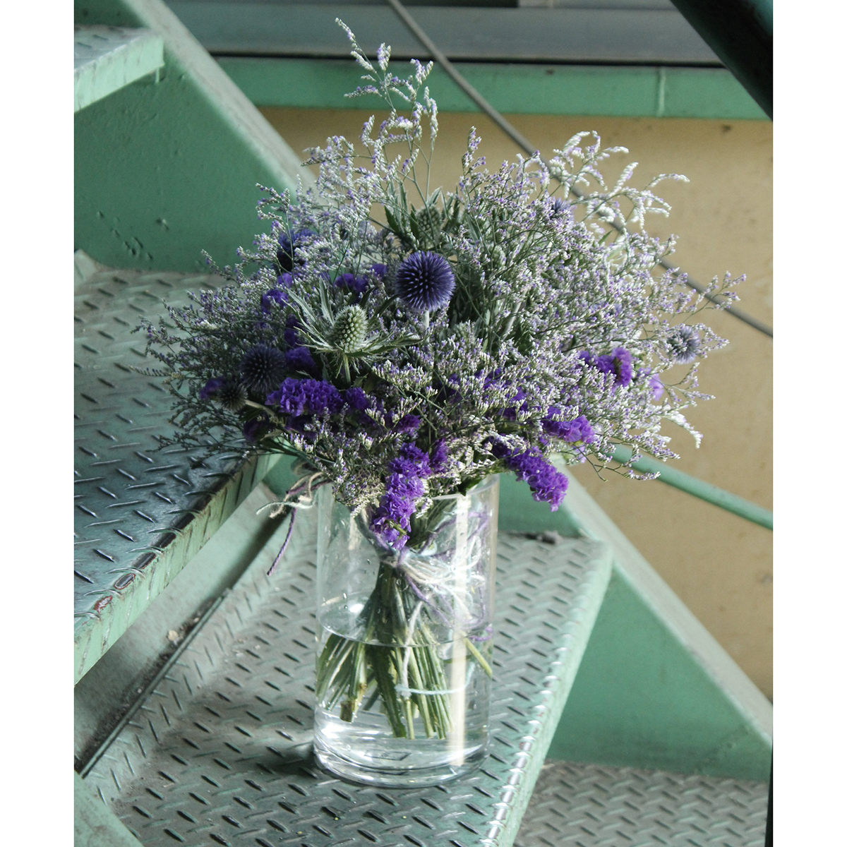 直前 国産hbスターチス エバーライト 紫 70cm程度 生花 通販 はなどんやアソシエ 直前 国産hbスターチス エバーライト 紫 70cm程度 生花 通販 はなどんやアソシエ