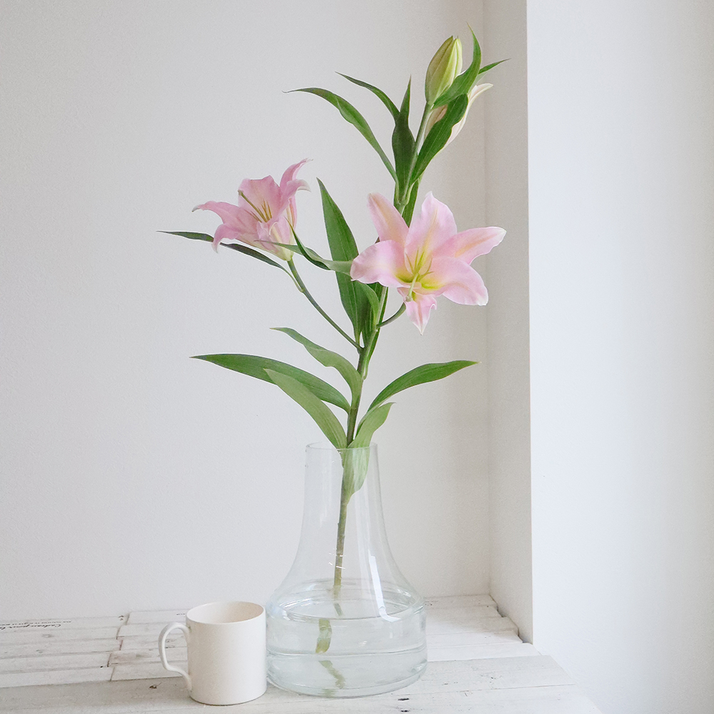 生花 Flcのオリエンタルユリ ピンク系 ロビナなど 3l4 5f Fj 今週のオトク 通販 はなどんやアソシエ 生花 Flcのオリエンタルユリ ピンク系 ロビナなど 3l4 5f Fj 今週のオトク 通販 はなどんやアソシエ