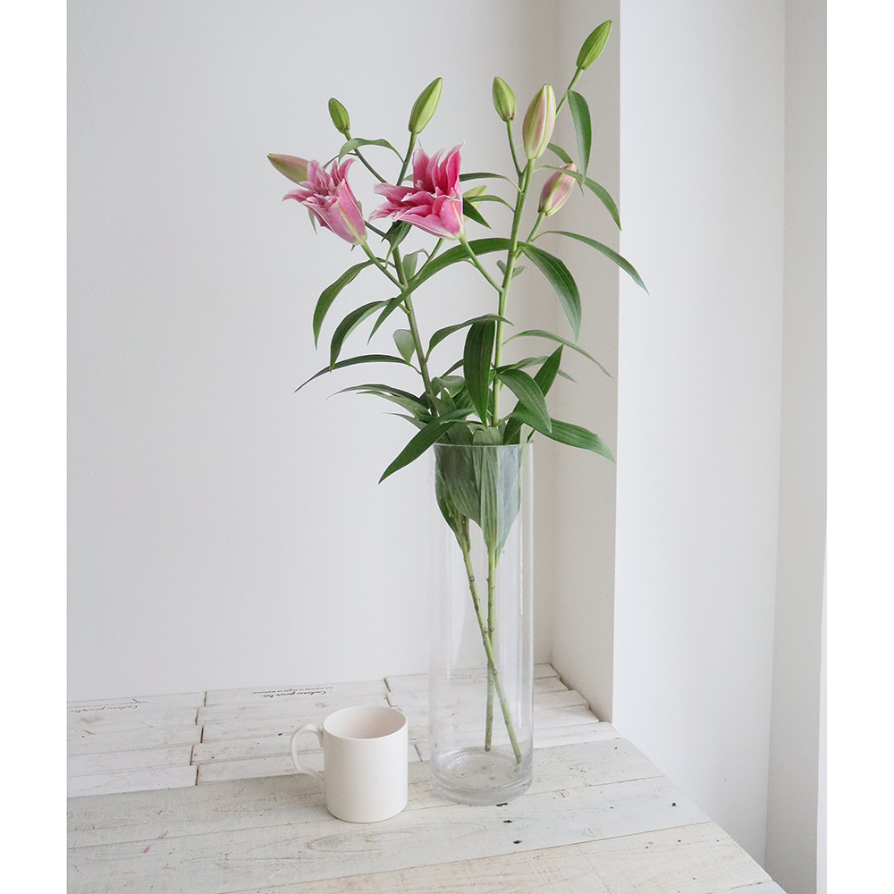 生花 八重咲きオリエンタルユリ エレナ 濃ピンク 約4輪 Or 13 通販 はなどんやアソシエ 生花 八重咲きオリエンタルユリ エレナ 濃ピンク 約4輪 Or 13 通販 はなどんやアソシエ