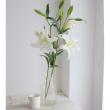【直前】すぐ咲く!オリエンタルユリ(白)プレミアムブロンドなど 約4-5輪【生花