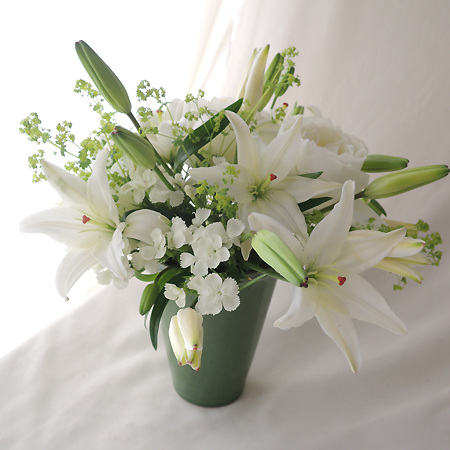 生花 小輪スカシユリ プチブラン 白 下関農協本所 通販 はなどんやアソシエ 生花 小輪スカシユリ プチブラン 白 下関農協本所 通販 はなどんやアソシエ