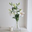【生花】オリエンタルユリ　モンテニュー(白)5-6輪90cm　FFヒライデ【OT】