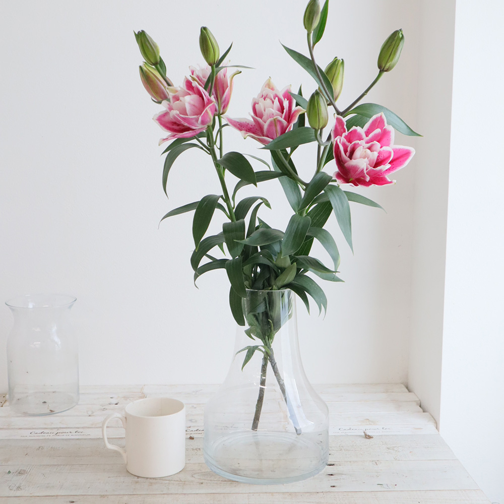 ユリアン I-PRIMOオンラインショップ |ユリシーズ(プラチナ): 婚約指輪