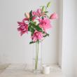 【生花】オリエンタルユリ　フロレッタ(ピンク八重)90cm 5-6輪　FFヒライデ【OT】