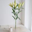 【生花】オリエンタルユリ　ボルト(黄色)80cm 4輪　　FFヒライデ【OT】