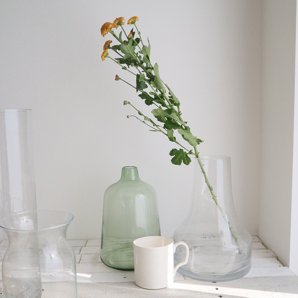 生花 Spマム ドリア オレンジ ポンポン Jfdマム 入荷少 通販 はなどんやアソシエ 生花 Spマム ドリア オレンジ ポンポン Jfdマム 入荷少 通販 はなどんやアソシエ