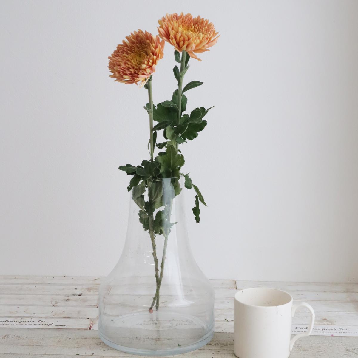 08直前!】ディスバッドマム オレンジエポック - 花材通販はなどんや