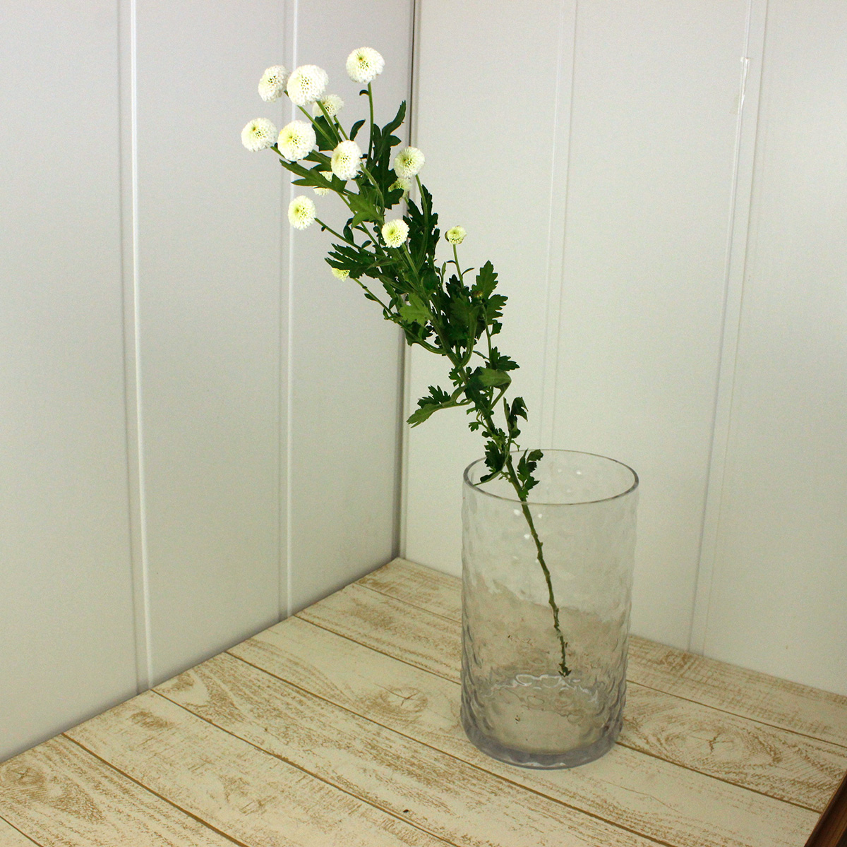 生花】SPマム マイクロポンポン ホワイト:JFDマム【FJ】 - 花材通販は