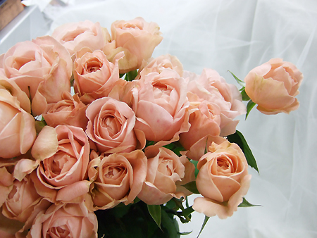 直前】【メルヘン】M-ヴィンテージフラール(スプレーバラ)【生花