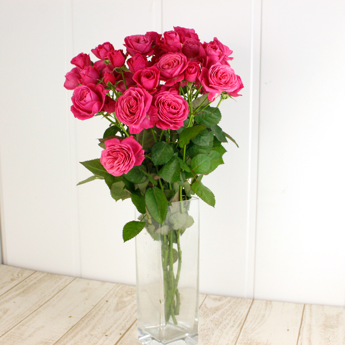 直前!!】メルヘンローズ バラ M-フルーツタルト(SP濃いピンク) - 花材