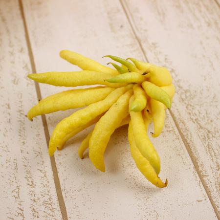 【生花/予約】仏手柑(小サイズ)紀南農協　※届日限定:12/21-29