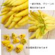 【生花/予約】仏手柑(小サイズ)紀南農協　※届日限定:12/21-29
