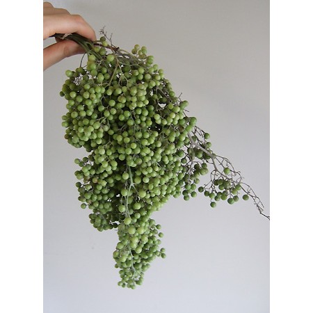 【08直前】ペッパーベリー(グリーン)※ペイントでなくナチュラルグリーンです。