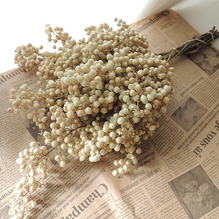 【ITA】ペッパーベリー　ゴールデンホワイト(束)★資材・プリ・アートとは同梱注文不可。一緒にご注文の場合は別途630円加算されます。★