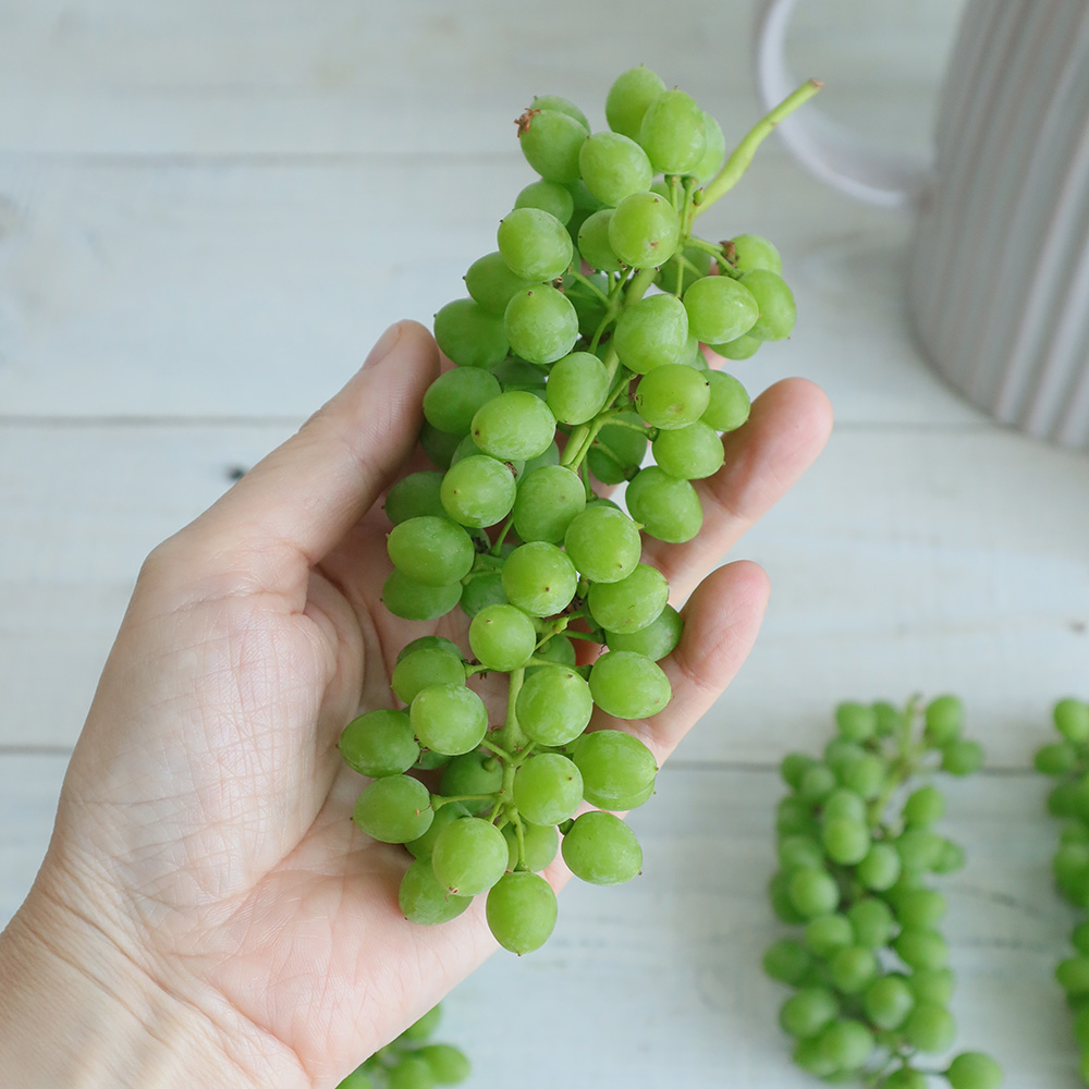 直前 青いぶどう 山形おきたま 生花 通販 はなどんやアソシエ 直前 青いぶどう 山形おきたま 生花 通販 はなどんやアソシエ