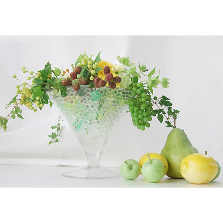 直前 青いぶどう 山形おきたま 生花 通販 はなどんやアソシエ 直前 青いぶどう 山形おきたま 生花 通販 はなどんやアソシエ