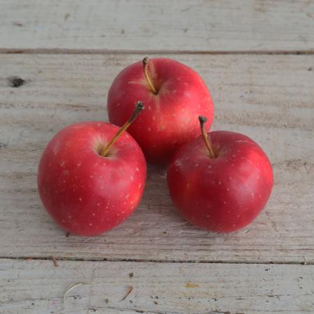 【08直前】【S-Mサイズ】姫リンゴ(赤)