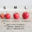 【08直前】【S-Mサイズ】姫リンゴ(赤)