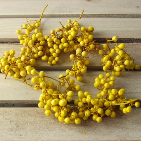 【ドライ】J・flow/クラッシュ☆ペイントペッパーベリー　イエロー