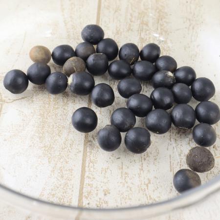 【生花】【ドライ】ムクロジの実(皮なし) 約50g 大鷹の森　【JF】