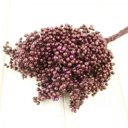 【生花】ペイントペッパーベリー リャマレッド(束)【OR-87】※水浸け不要