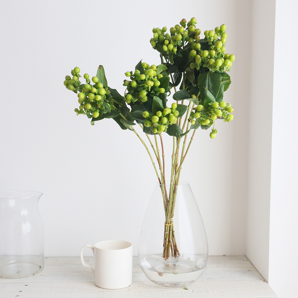 直前 ヒペリカム ジャングルロマンスなど 中小粒系グリーン 生花 通販 はなどんやアソシエ 直前 ヒペリカム ジャングルロマンスなど 中小粒系グリーン 生花 通販 はなどんやアソシエ