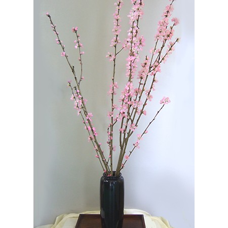 生花】花桃あけぼの L - 花材通販はなどんやアソシエ