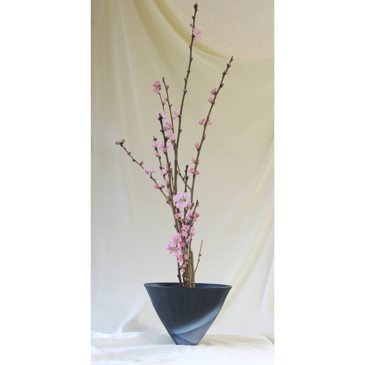生花】花桃あけぼの L - 花材通販はなどんやアソシエ