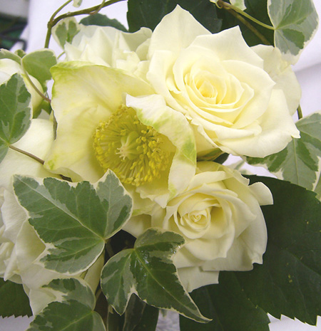 生花 母の日価格 バラ エスキモー 白 M 通販 はなどんやアソシエ