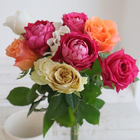 【生花】母の日☆金田バラ園のバラ ミックス 30cm 愛知県