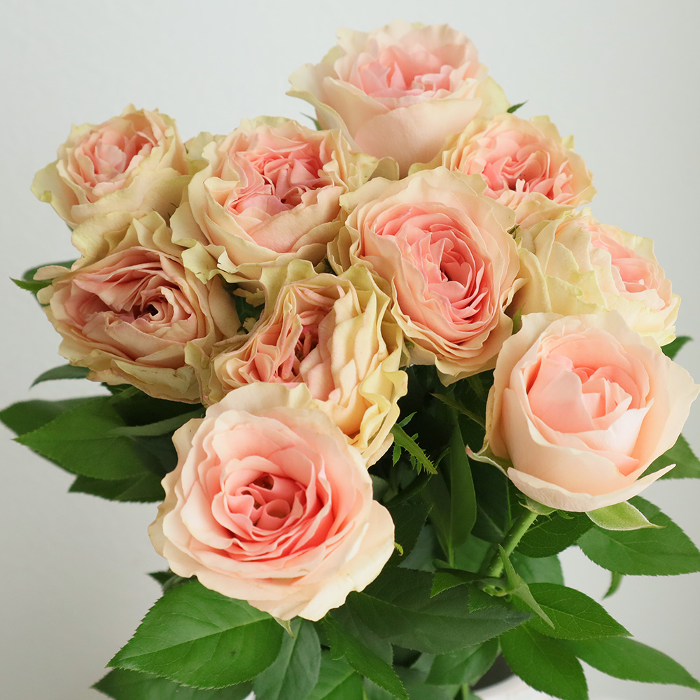 デコパージュ 作家 花瓶 特大 バラ ピンク ゴールド デコパージュ 作家 花瓶 特大 バラ ピンク ゴールド 薔薇 花瓶