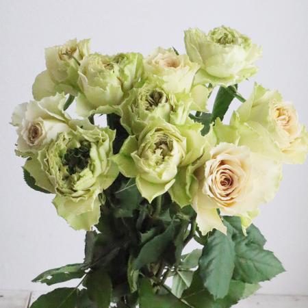 【生花】母の日☆バラ リテラチュール(ベージュー緑系)40cm- 金田バラ園