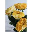 【生花】母の日☆バラ マンゴーリーバ(オレンジイエロー)40cm-