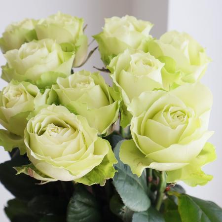 【生花】母の日☆バラ グリーンフィールド(緑)40CM 金田バラ園