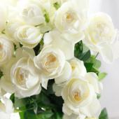 セール 一番安い 生花】母の日☆SPバラ スイートオールド(オフホワイト)40センチ その他